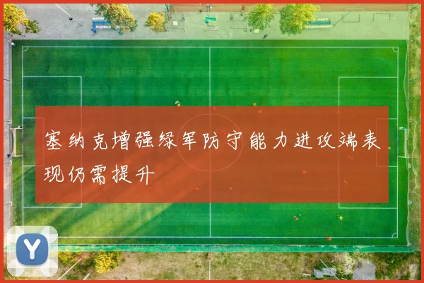 塞纳克增强绿军防守能力进攻端表现仍需提升