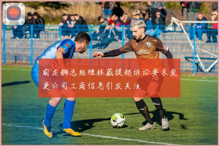 前龙狮总经理林葳提起诉讼要求变更公司工商信息引发关注